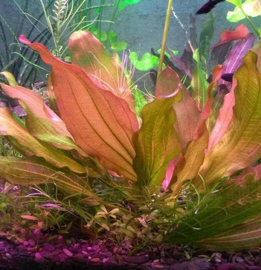 506874637_719934684321786_3567902830107003963_n