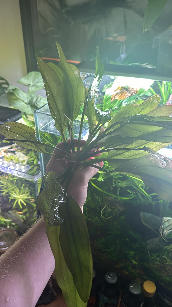 481290723_1114805910393679_7282170041145140059_n