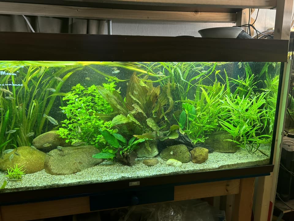 483064149_952454903731433_4462128044903396661_n