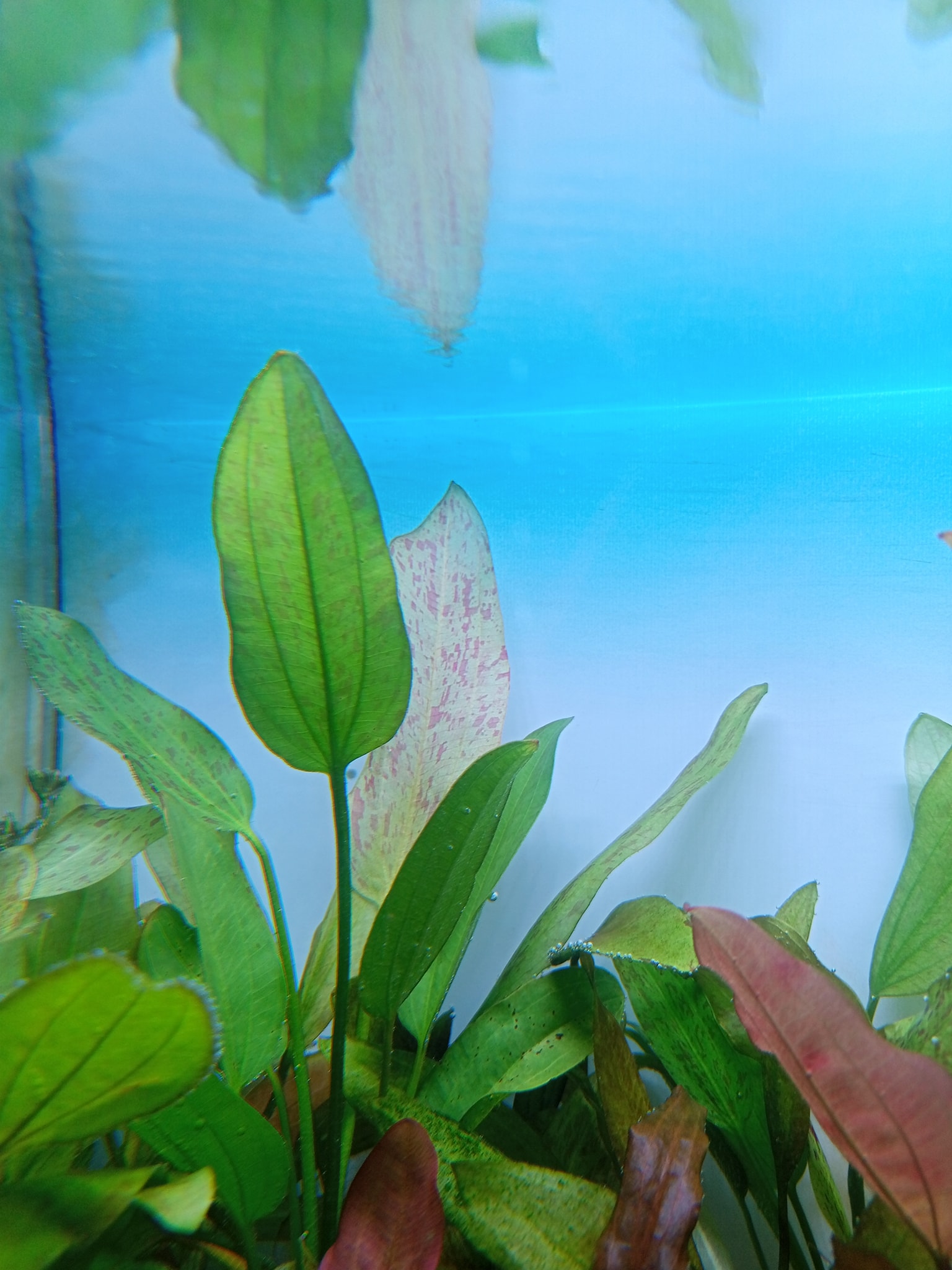 515438256_24215479978077948_579503604596399320_n