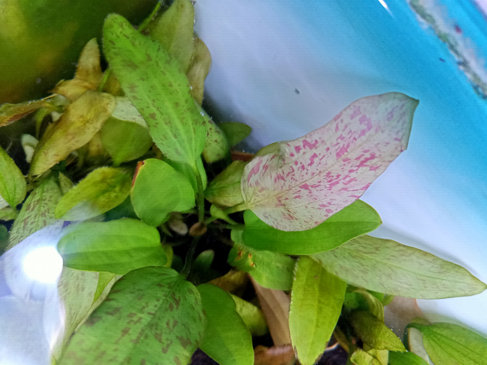 515504711_24215479998077946_6402022259424093343_n