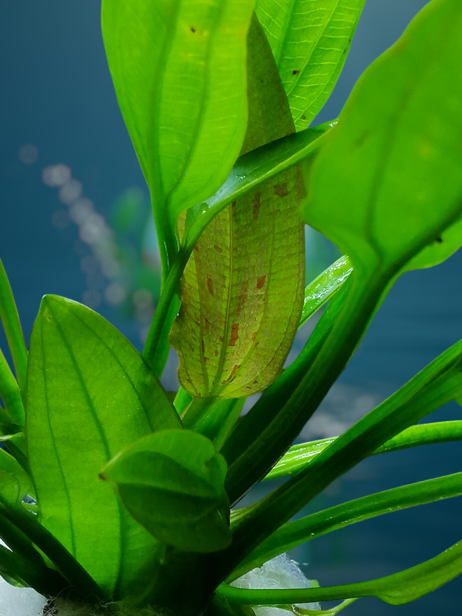 530563644_1072554581754775_6344810974035044364_n