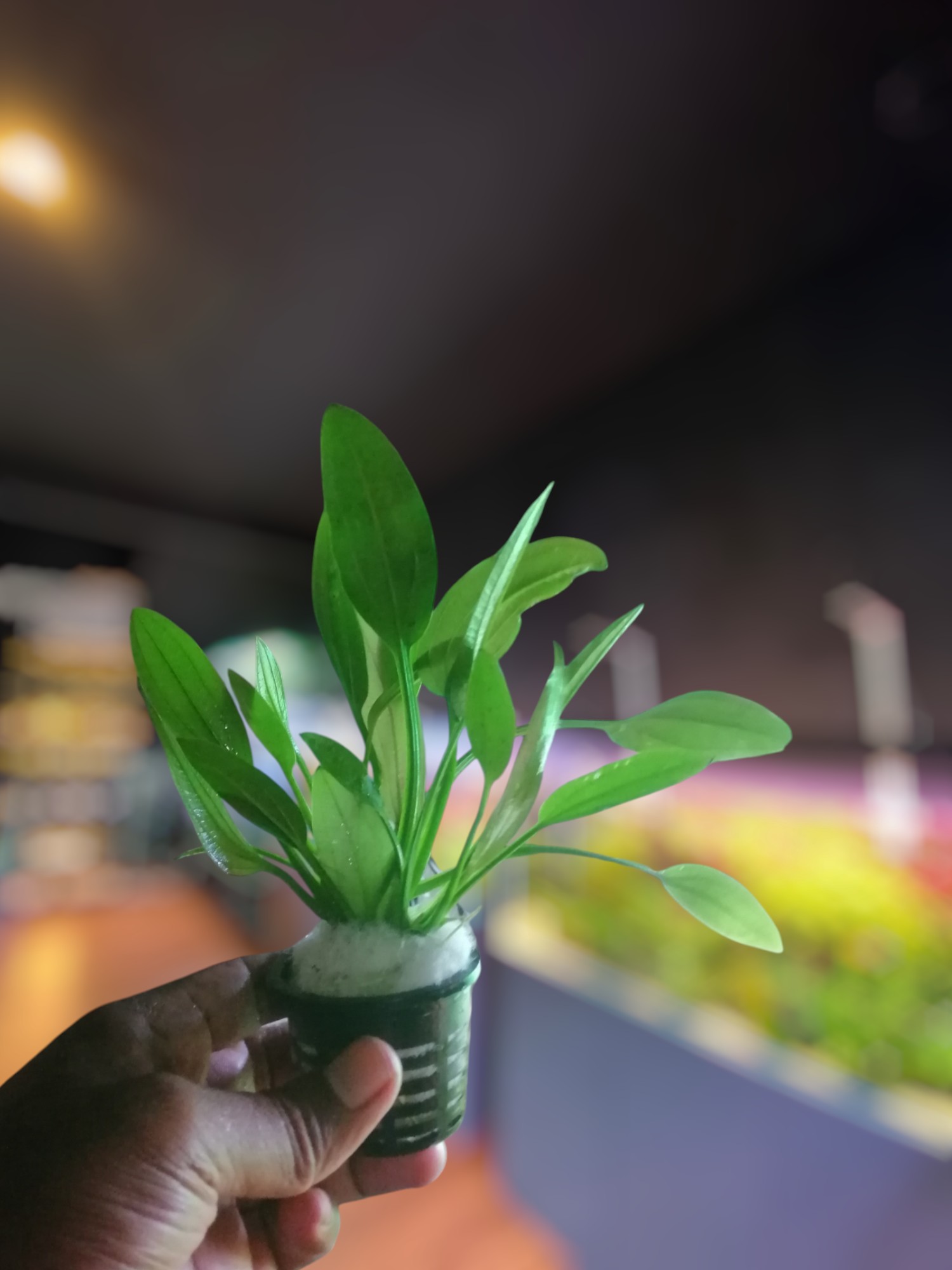 531825482_1072554341754799_6723118992074850854_n