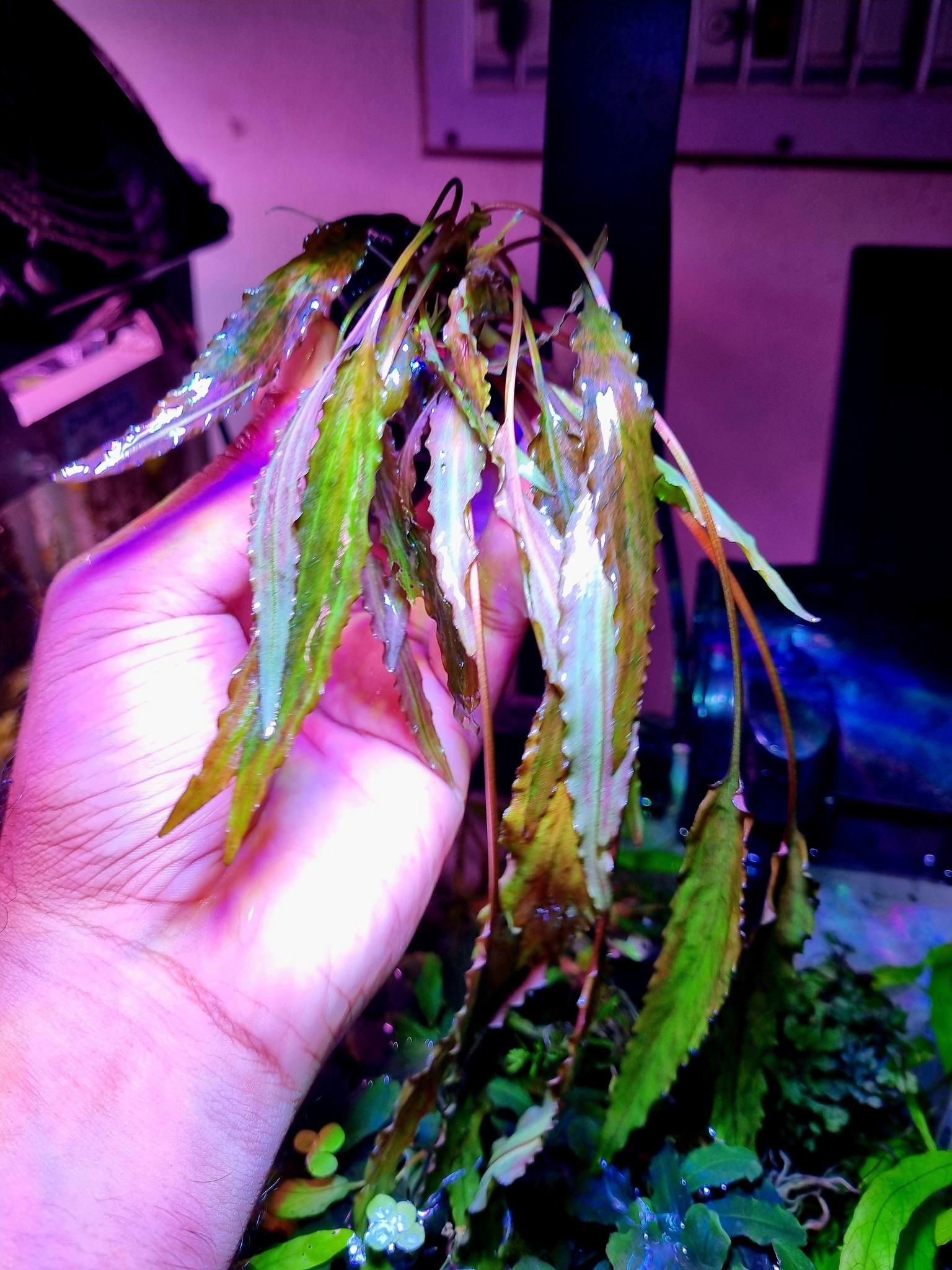 539266686_122173760030475423_4412627737099713622_n