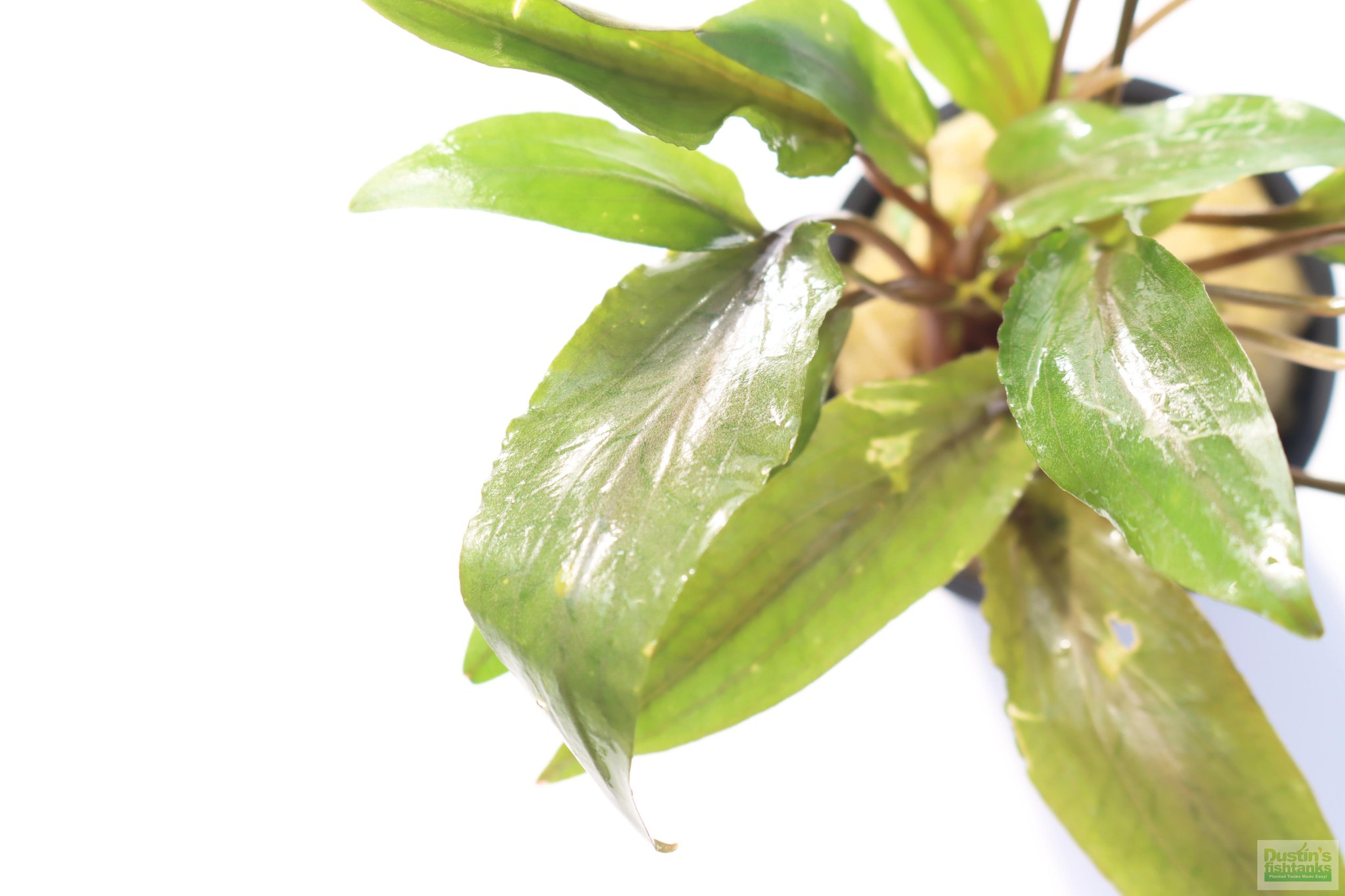 557636602_1347949546694295_2867377407357901167_n