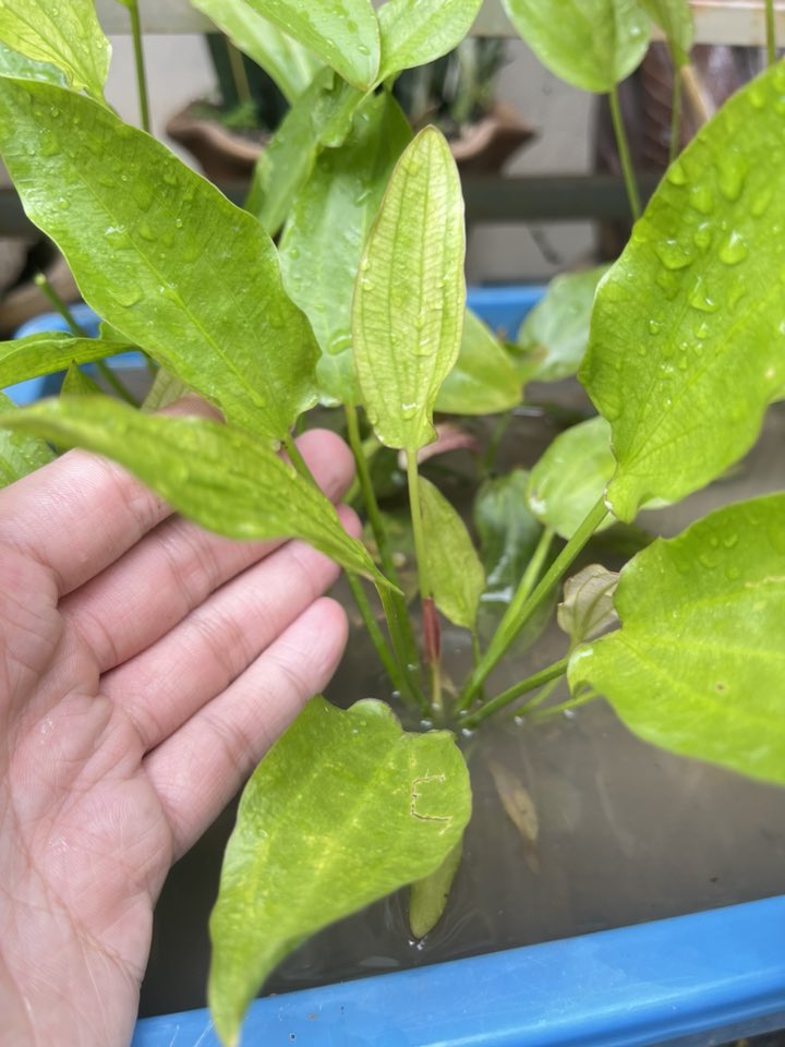 557753932_122173038098589677_8810161521222915145_n