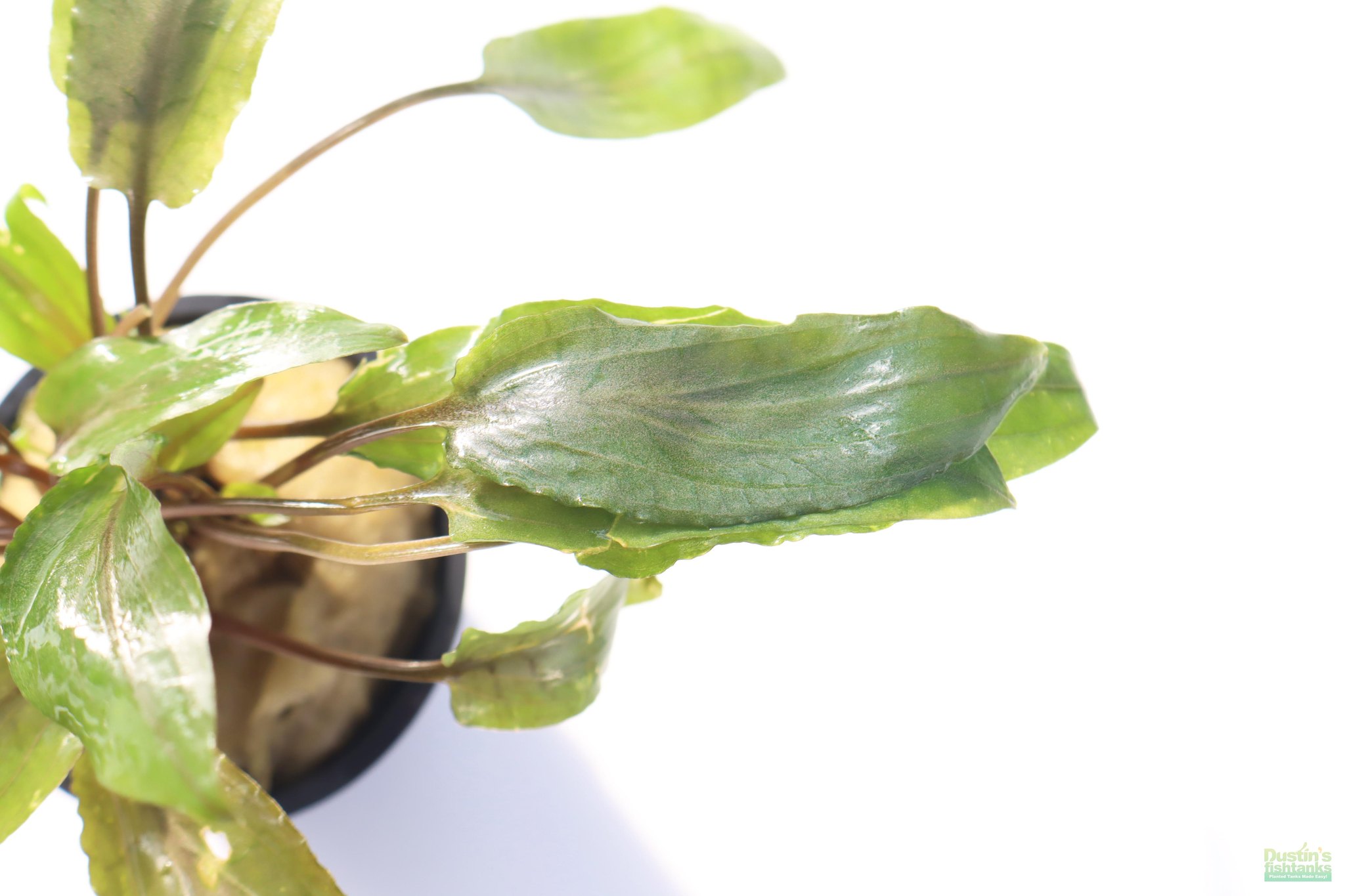 557853239_1347949540027629_8127358950390211282_n