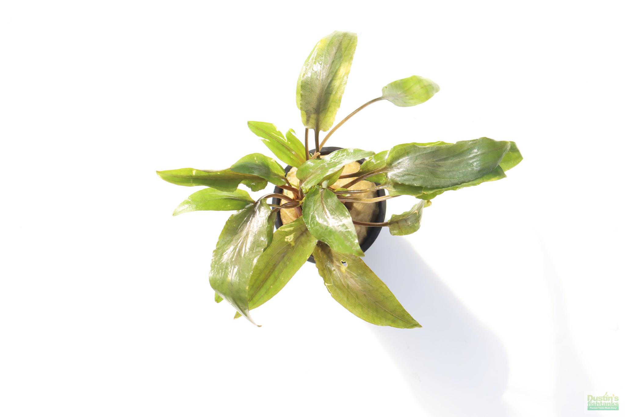 557969334_1347949566694293_3383831421408350074_n