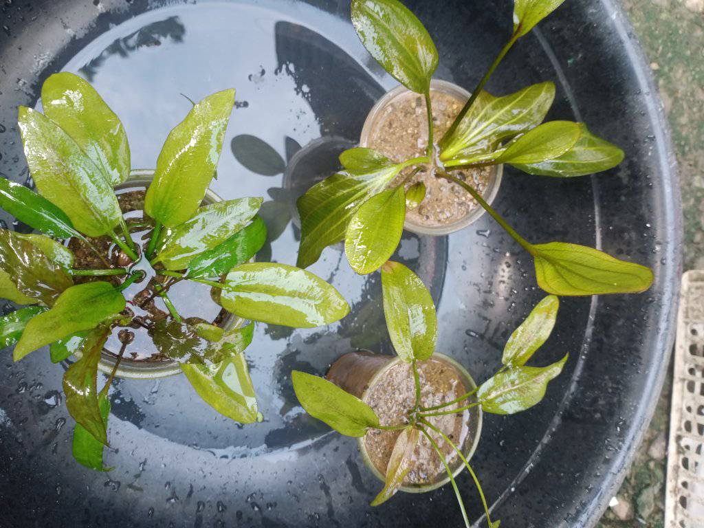 573057429_122287541018015995_4438772953997486678_n