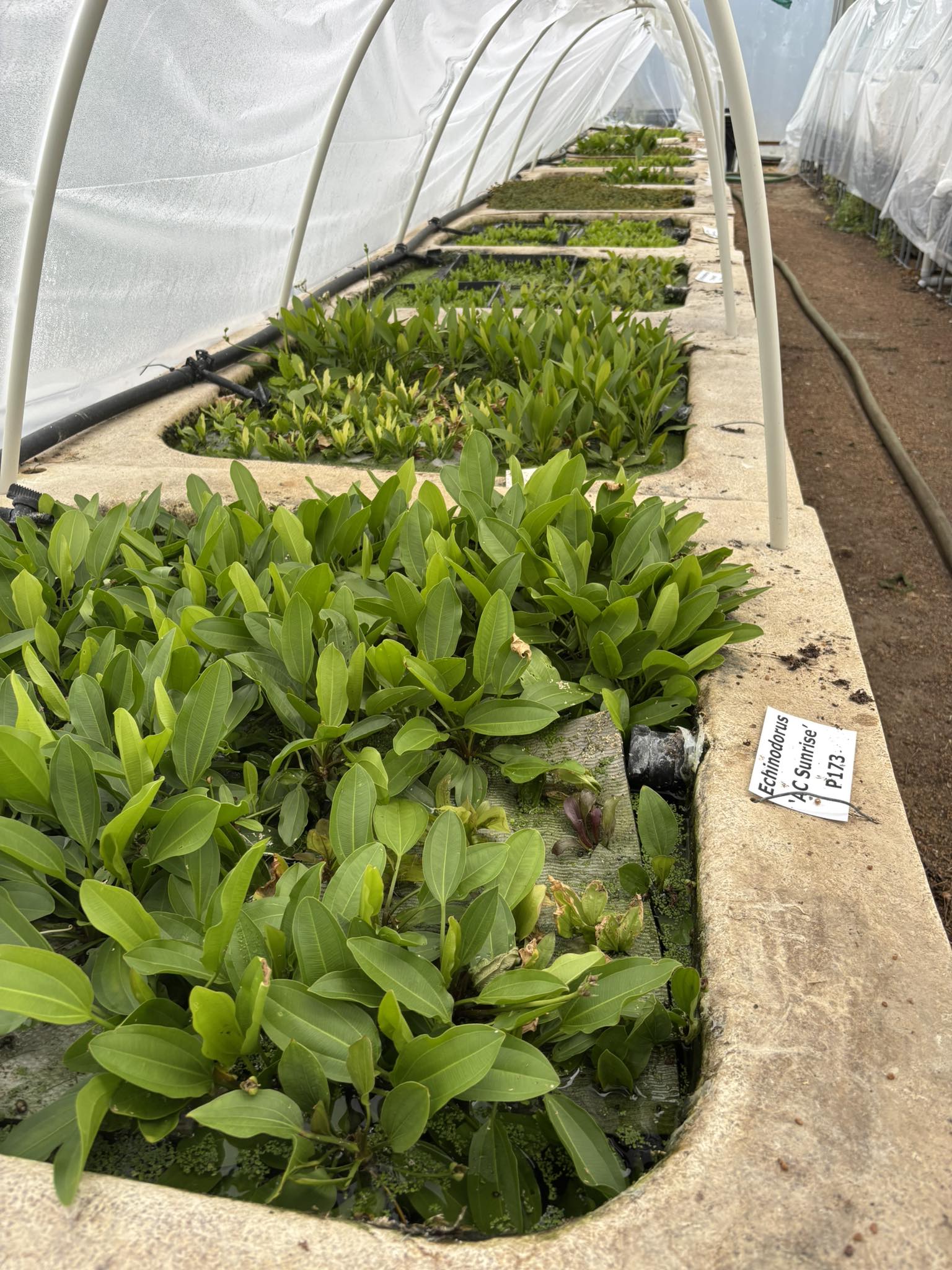 574256856_4116087731870751_9019915675709537285_n