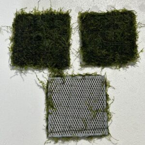 Christmas Moss Mat 3" X 3"