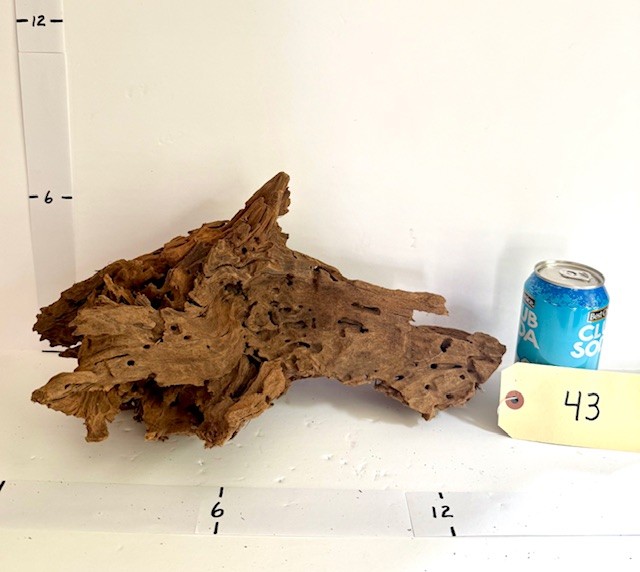 Malaysian wood - Image 2