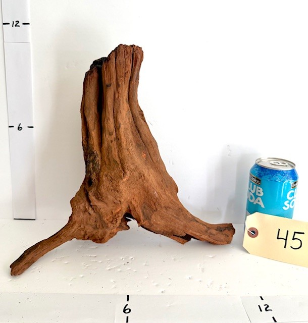 Malaysian wood - Image 3