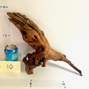 Pacific Wood