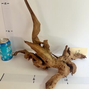 Pacific Wood