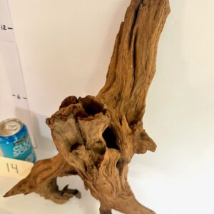 Pacific Wood