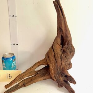 Pacific Wood